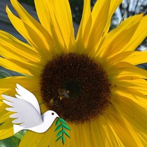 Meet your Posher, Kendall